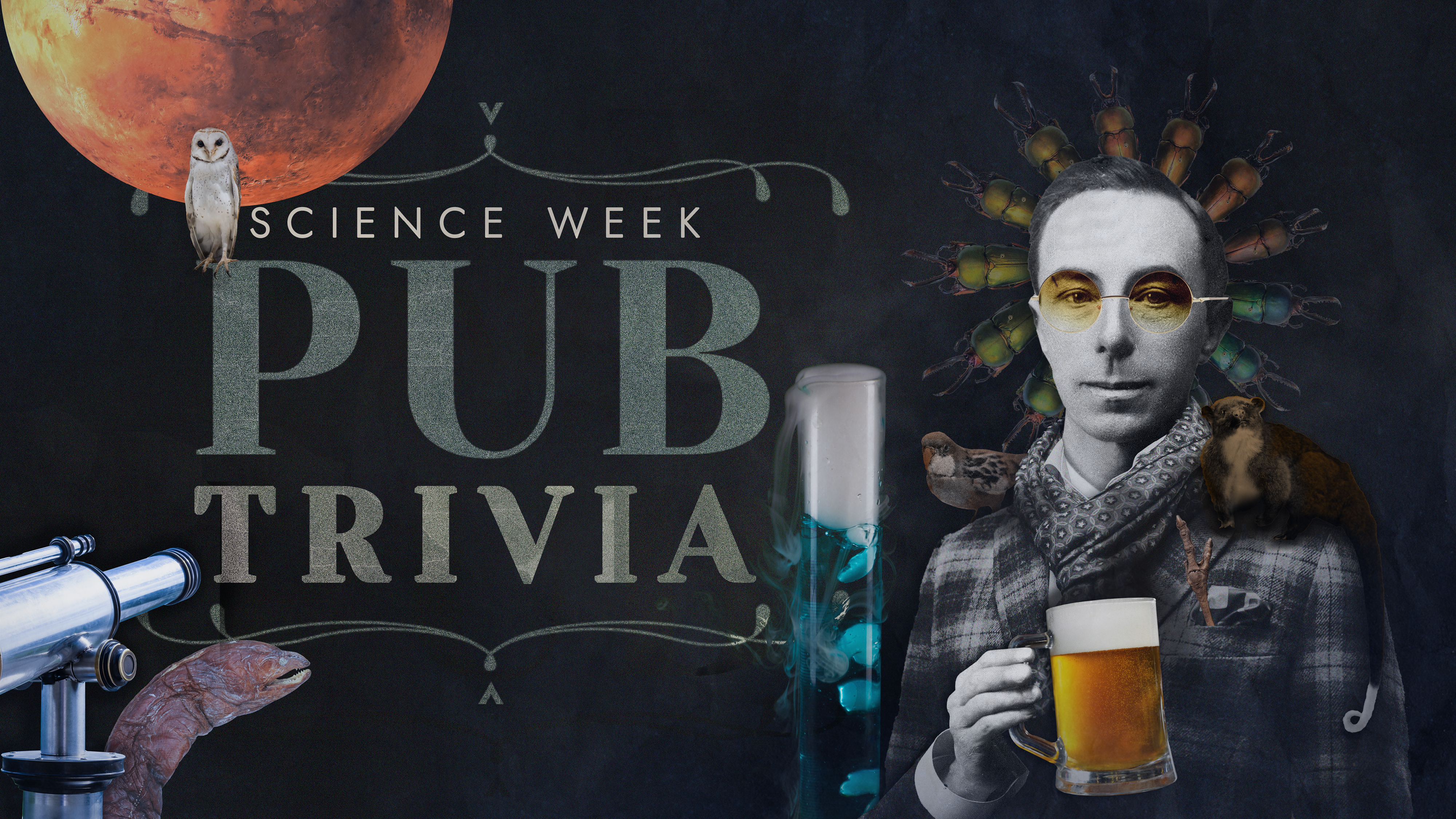 Science Trivia in the pub 2023