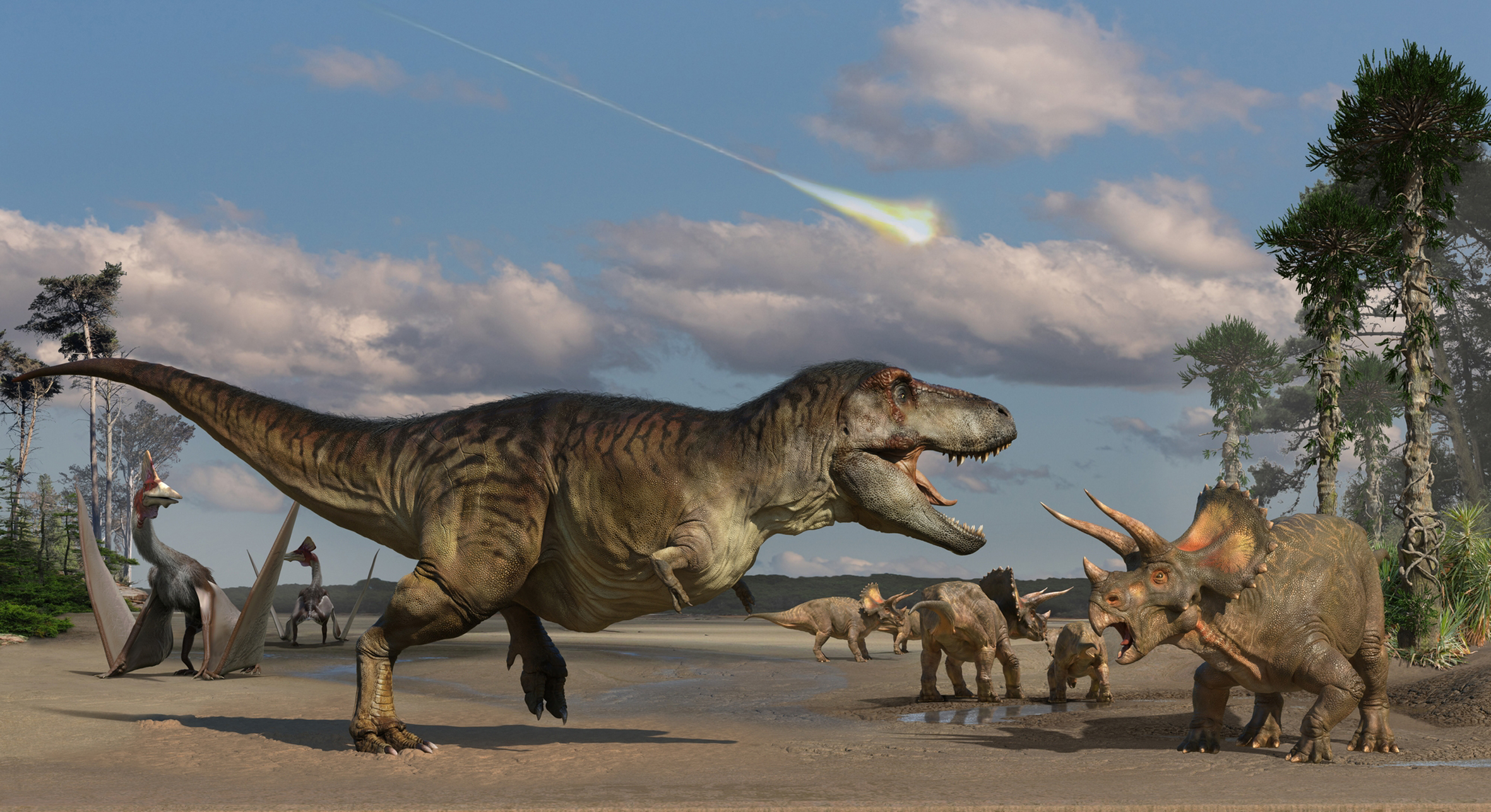 Image of dinosaurs from the late Cretaceous period