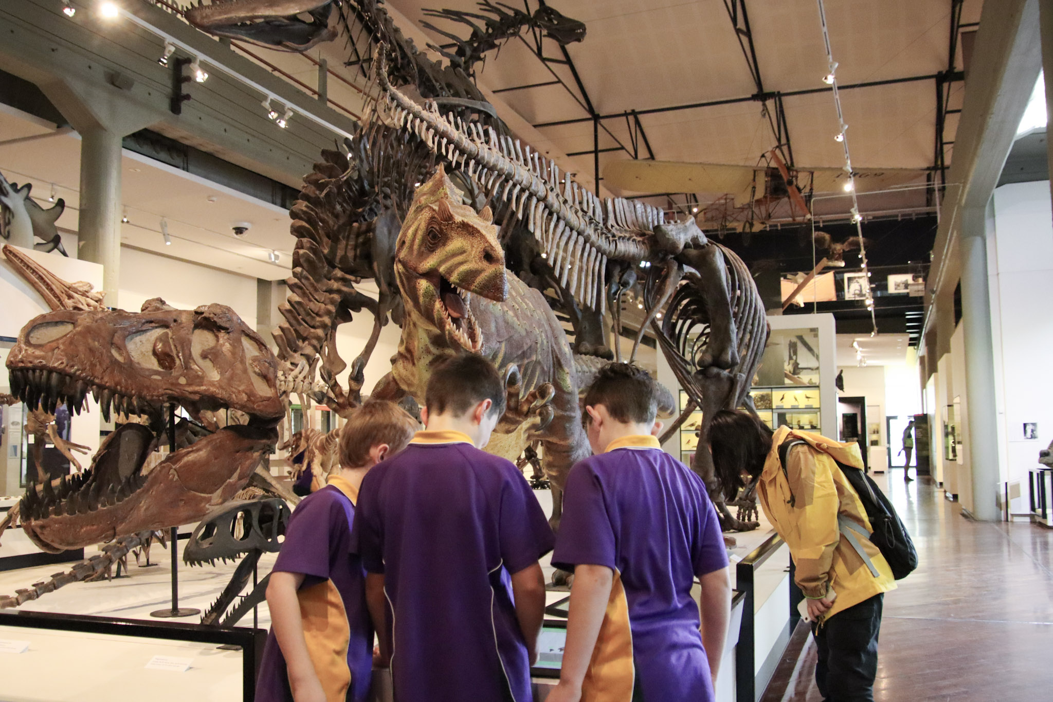 Students in front of the dinosaurs display in the Tasmanian Connections exhibition